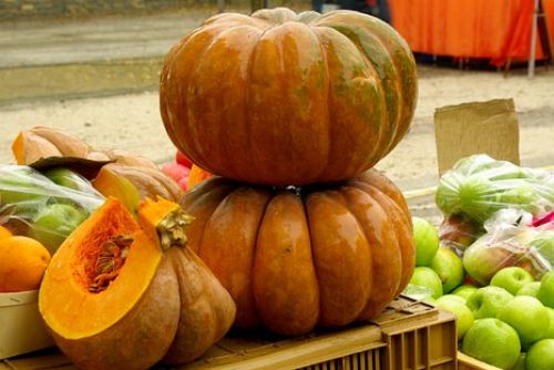 Foto: Karlovy Vary: Prostranství před Tržnicí zítra opět zaplní farmáři