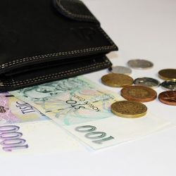 Karlovy Vary: Zatajil nález peněženky. Ponechal si hotovost