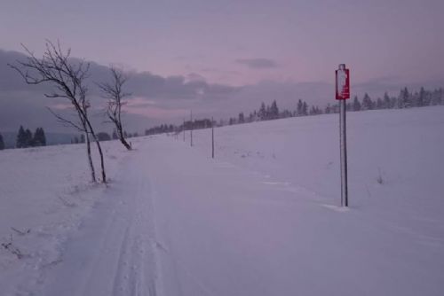 Obrázek - 