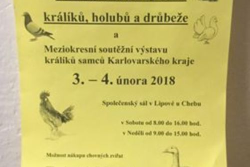 Obrázek - 