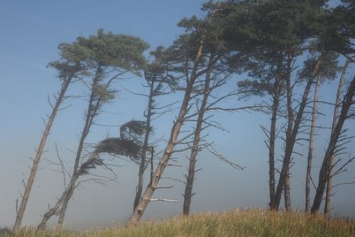 Foto: Meteorologové varují před silným větrem