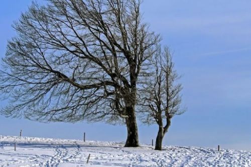 Foto: Meteorologové varují před silným větrem, sněhovými jazyky a novou sněhovou pokrývkou