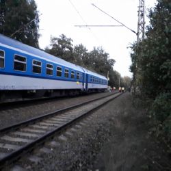 Nebanice: Rychlík se srazil s dobytkem