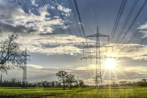 Foto: Nezapomeňte na prořezávku zeleně v okolí elektrického vedení