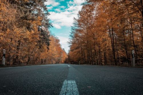 Foto: Podzim a policejní preventivní rady pro toto období