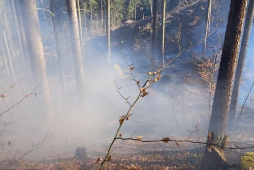 Obrázek - Region: Dvě události - požár ovčína a lesa