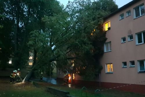 Obrázek - 