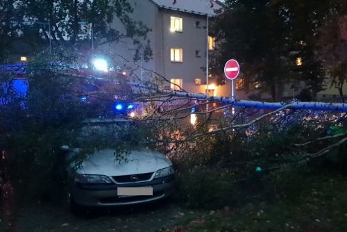 Obrázek - 