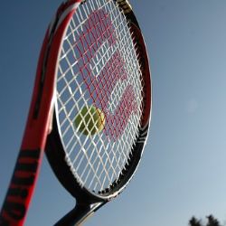 Region: Sportovní oddíly by mohly získat od kraje bezúročné zápůjčky 