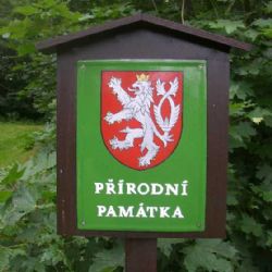 Rudenská luční prameniště se stanou přírodní památkou