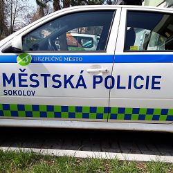 Sokolov: Místo grilu použili kolečko