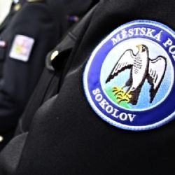 Sokolov: Ustlal si na silnici 