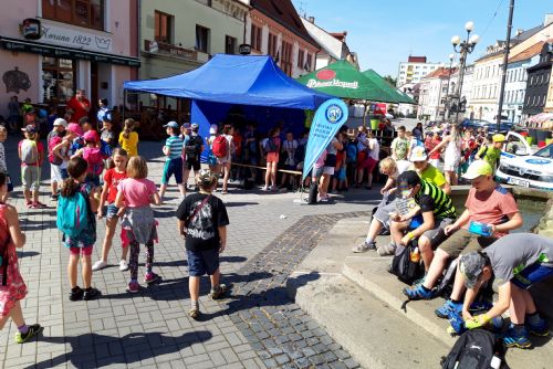 Obrázek - 