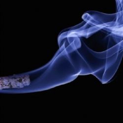 Sokolov: Zvedal spadlou cigaretu. Způsobil dopravní nehodu