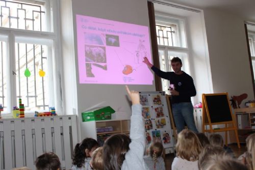 Obrázek - 