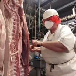 Veterinární dozor hraje nezastupitelnou roli i v době pandemie koronaviru