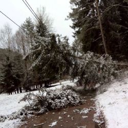 Vichřice řádila i na Ašsku