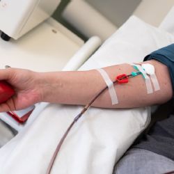 Zítra startuje Mezinárodní týden dárcovství krevní plazmy 