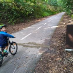 Cyklisté na Vysočině vyjíždí především o víkendu v odpoledních hodinách