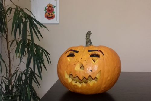 Obrázek - 