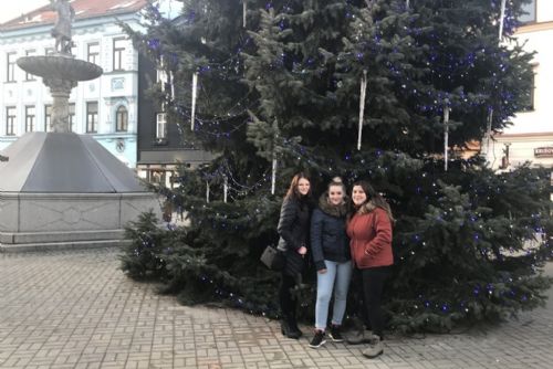 Obrázek - 