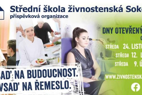 Obrázek - 